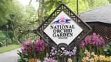 National Orchid Garden Ticket - Photo 15