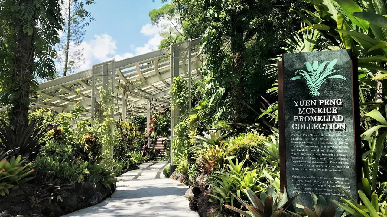 National Orchid Garden Ticket - Photo 6