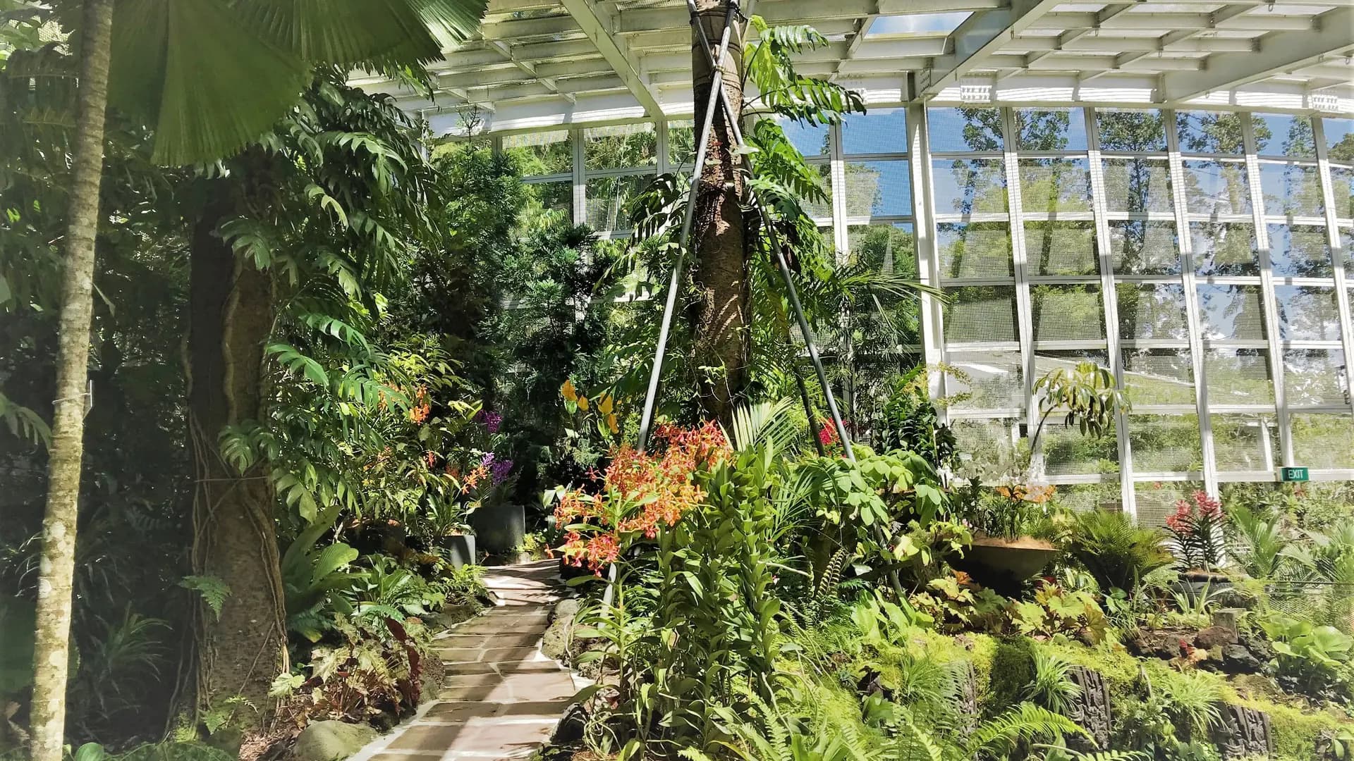 National Orchid Garden Ticket - Photo 23