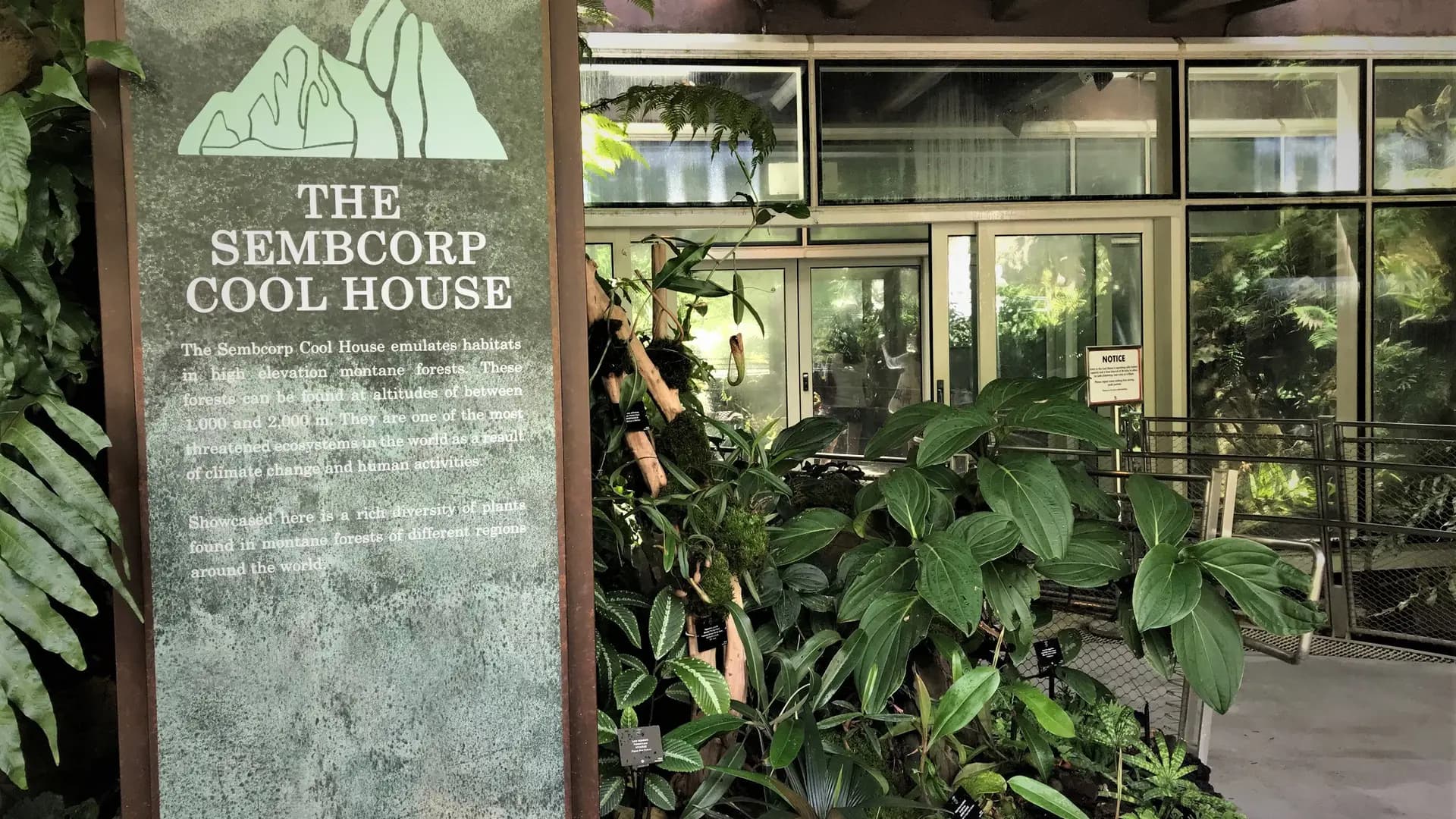 National Orchid Garden Ticket - Photo 24