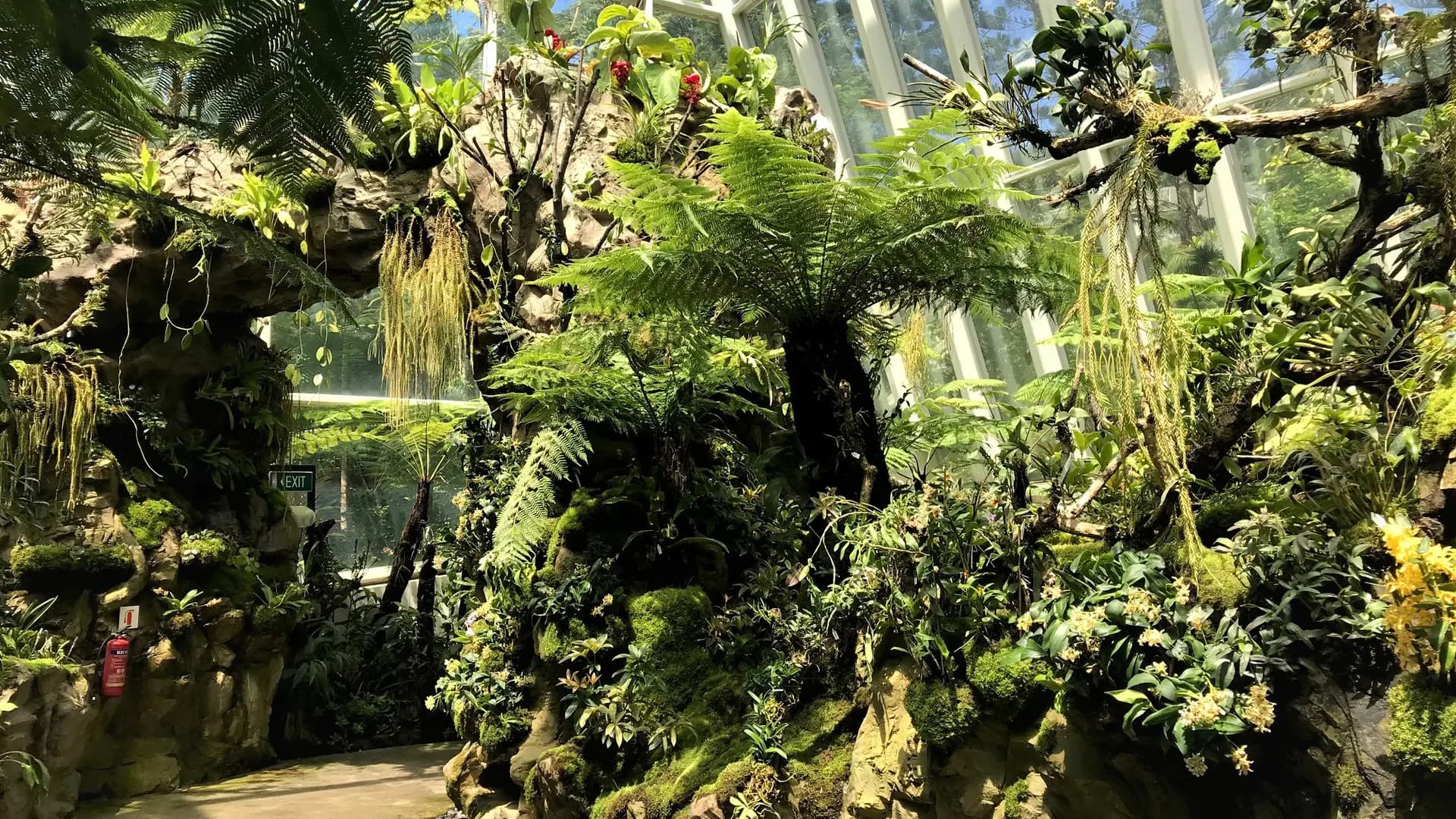 National Orchid Garden Ticket - Photo 28