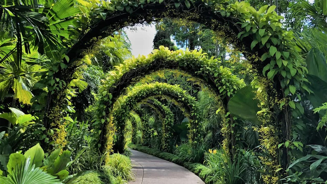 National Orchid Garden Ticket - Photo 13