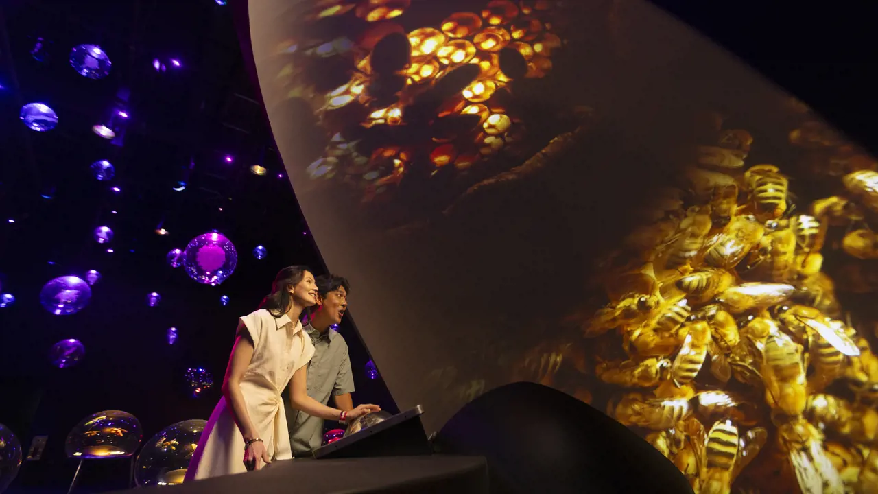 Exploria in Mandai Singapore Ticket - Photo 4