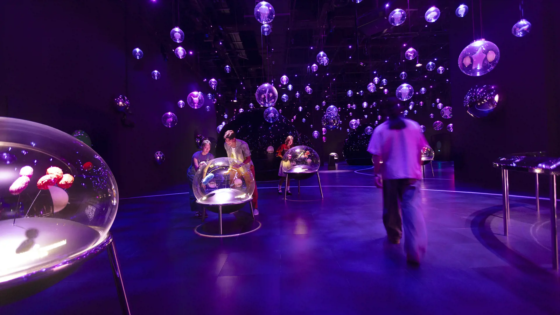 Exploria in Mandai Singapore Ticket - Photo 22