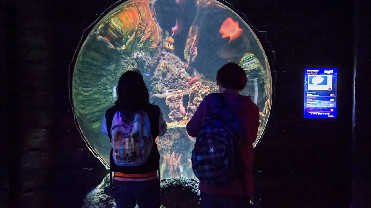 SEA LIFE Porto Ticket - Photo 16