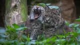 Lagos Zoo Ticket - Photo 8