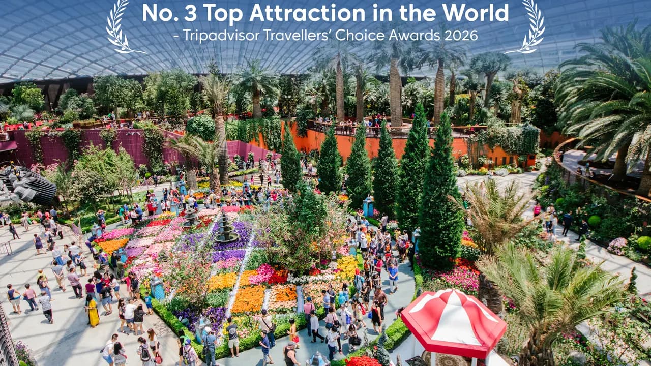 Gardens by the Bay Ticket - Photo 2