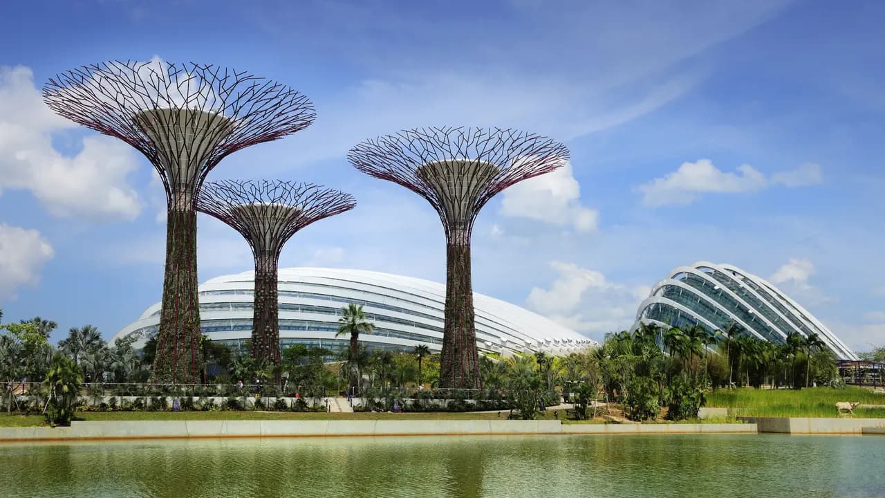 Gardens by the Bay Ticket - Photo 13