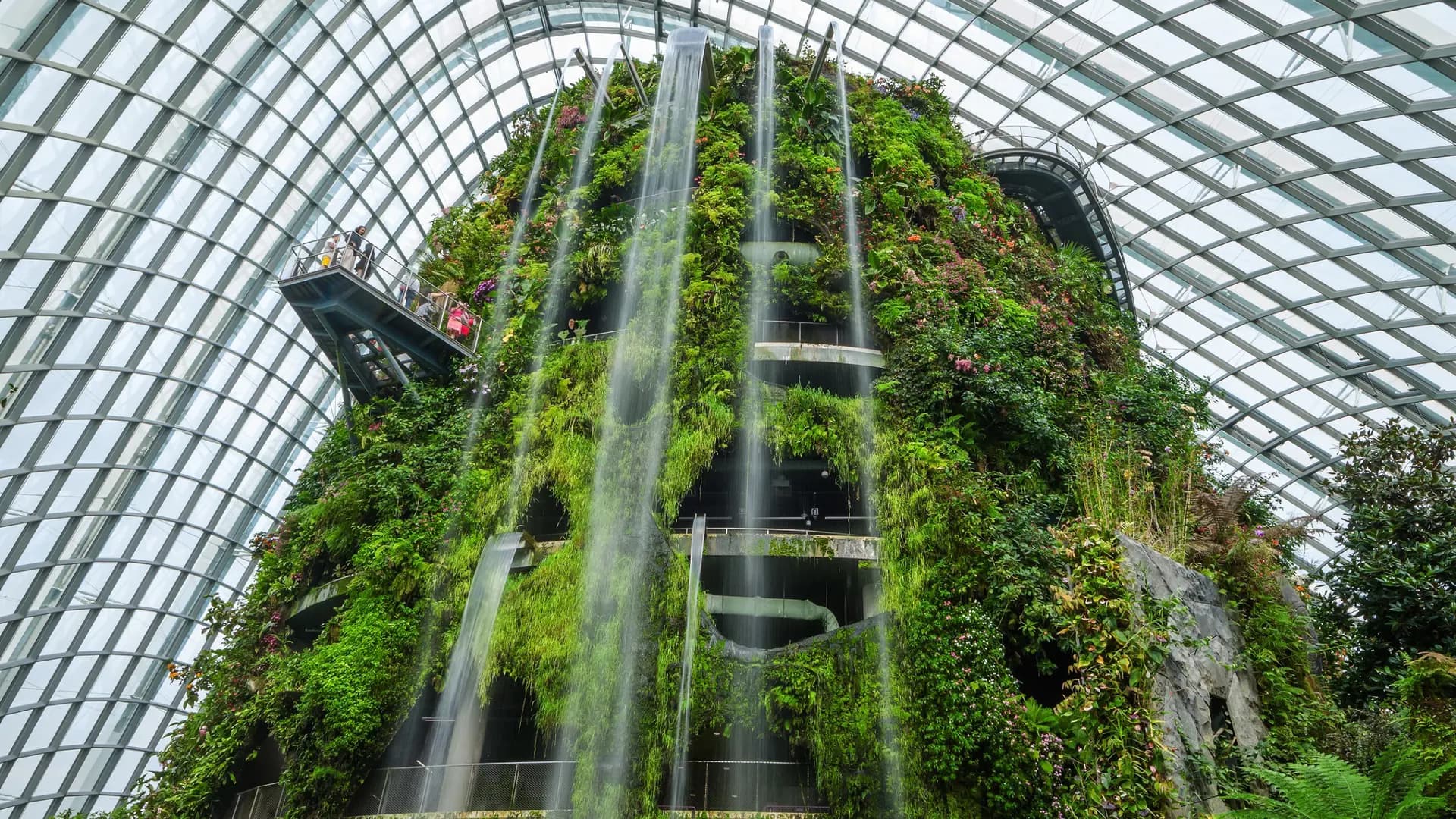 Gardens by the Bay Ticket - Photo 39