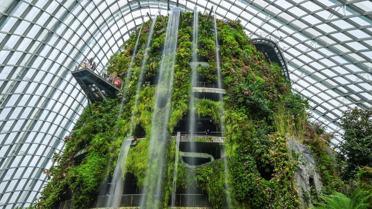 Gardens by the Bay Ticket - Photo 17