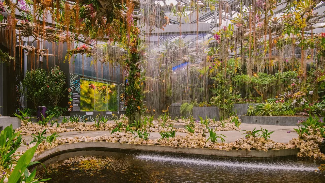 Gardens by the Bay Ticket - Photo 19