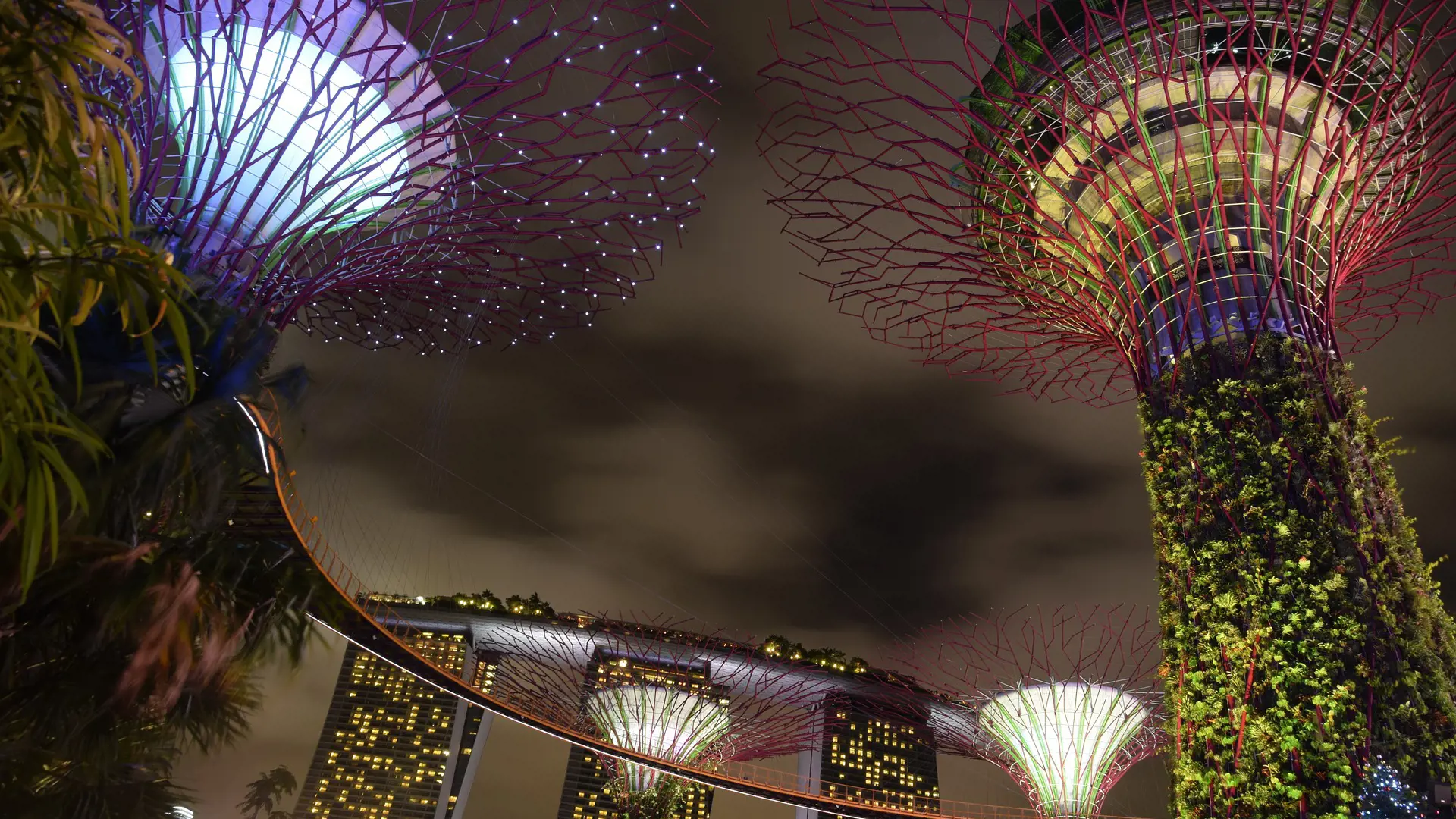 Gardens by the Bay Ticket - Photo 42