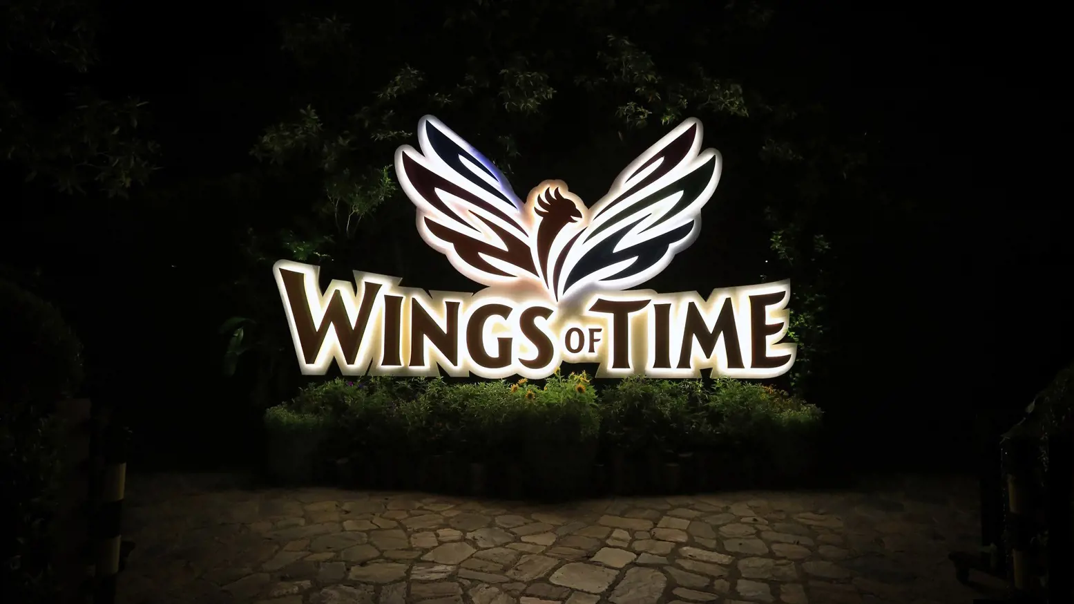 Wings of Time Fireworks Symphony Ticket - Photo 30