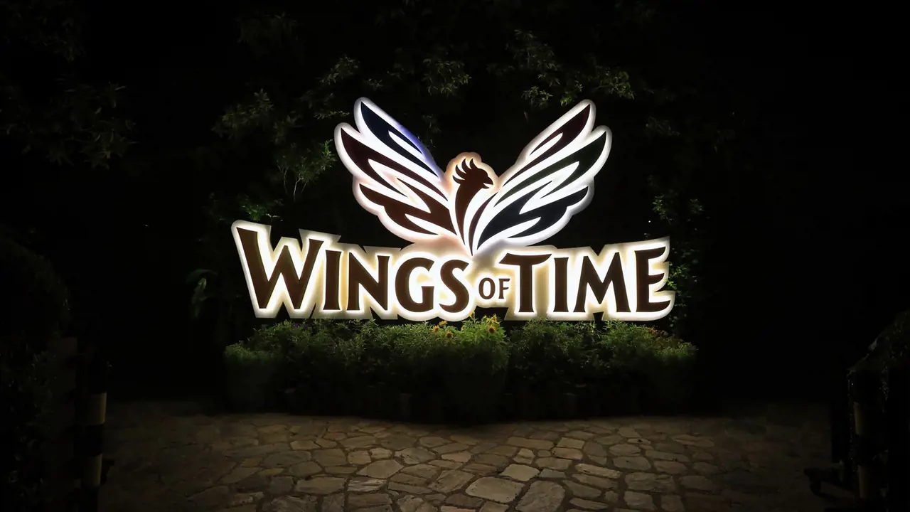Wings of Time Fireworks Symphony Ticket - Photo 14